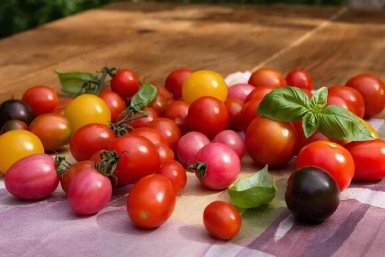 Изображение GigaChat (18+)