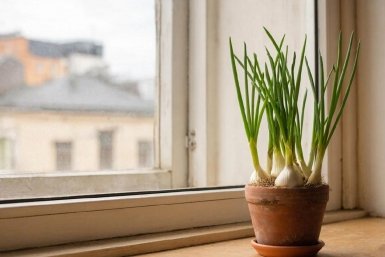 Изображение GigaChat (18+)