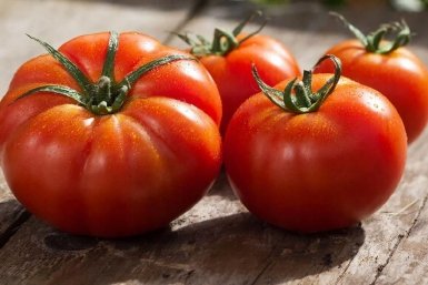 Изображение GigaChat (18+)