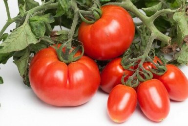 Изображение GigaChat (18+)