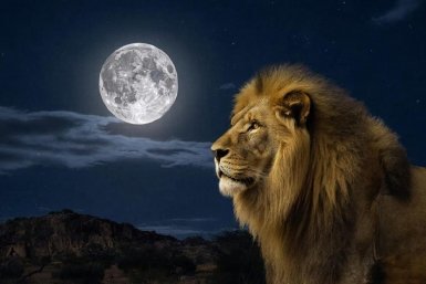 Изображение GigaChat (18+)