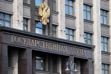 В Госдуме предлагают в законе закрепить право многодетных отцов на досрочную пенсию ИА AmurMedia