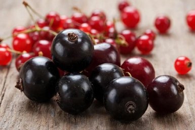 Изображение GigaChat (18+)