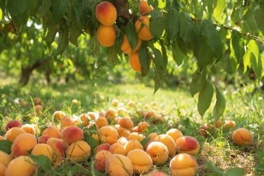 Изображение GigaChat (18+)