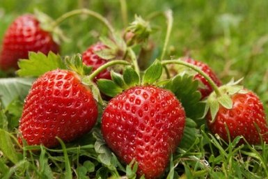 Изображение GigaChat (18+)