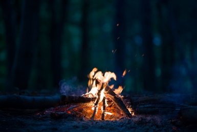 Дачников предупредили о штрафах за неправильный костер freepik.com