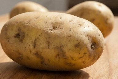 Изображение GigaChat (18+)