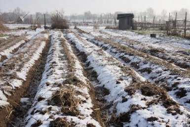 Изображение GigaChat (18+)