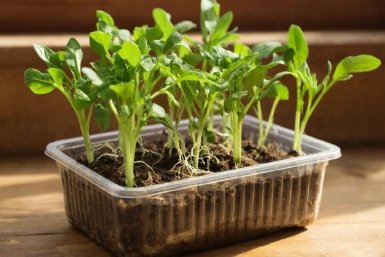 Изображение GigaChat (18+)