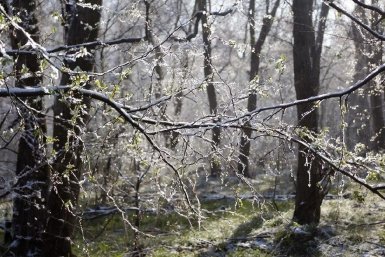 Зима уходит — весна приходит: ритуалы, приметы и запреты 28 февраля