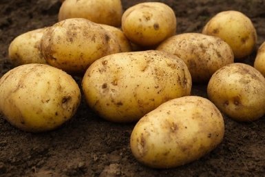 Изображение GigaChat (18+)