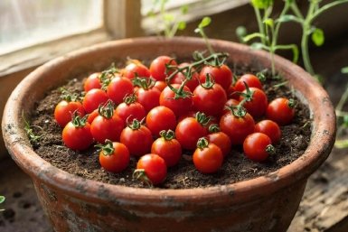 Изображение GigaChat (18+)