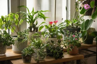 Изображение GigaChat (18+)