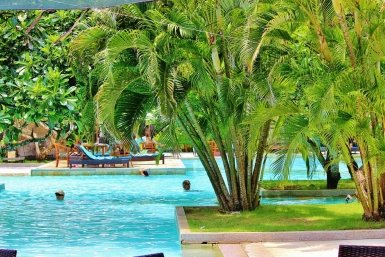 Тематическое фото pxhere.com