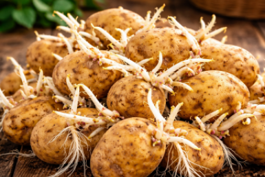 Тематическое фото Сгенерировано ИИ