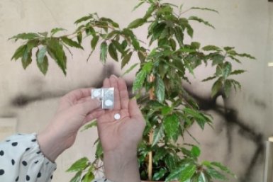 Тематическое фото Ольга Долгополова, ИА UssurMedia