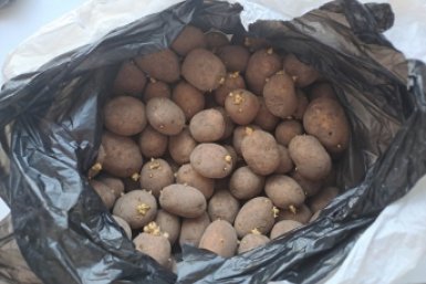 Тематическое фото Ольга Долгополова, ИА UssurMedia