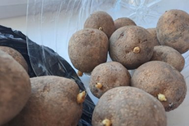 Тематическое фото Ольга Долгополова, ИА UssurMedia