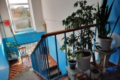 Растения в подъезде обернутся штрафом Виктория Харченко, ИА PrimaMedia