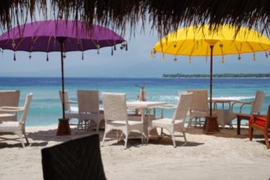 Россиянка на Бали пострадала из-за ядовитой гусеницы pxhere.com