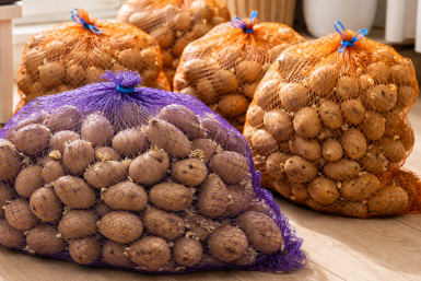 Тематическое фото Сгенерировано ИИ