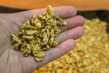 Золото Александр Крылов, ИА MagadanМedia