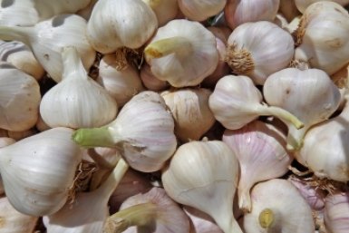 Тематическое фото pxhere.com