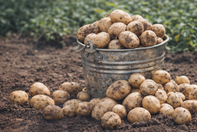 Тематическое фото Сгенерировано ИИ