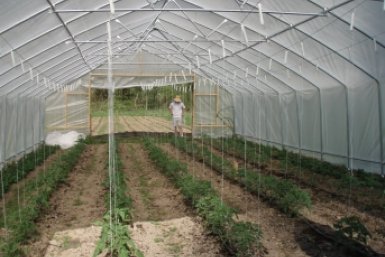 Поликарбонат больше не в моде pxhere.com