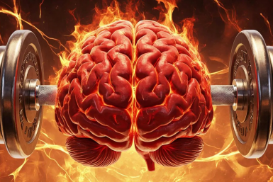 Вы голову дома забыли, если споткнетесь о 4 пустяковых вопроса - Тест на раскачку мозгов