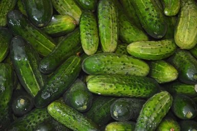 Тематическое фото pxhere.com