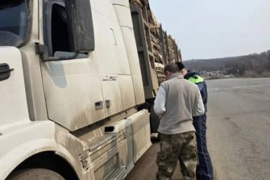 Госавтоинспекция Приморья нашла более сотни нарушений грузовиков Госавтоинспекция УМВД России по Приморскому краю