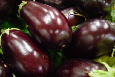 Тематическое фото pxhere.com