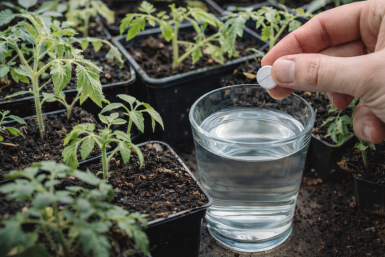 Тематическое фото Создано при помощи ИИ