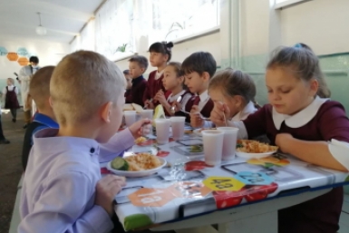 Депутат предложил продлить льготное питание для детей участников СВО Абрамченко Анета