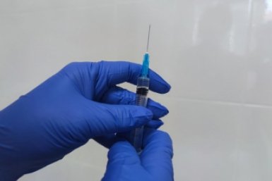 Врач рассказала, кому нужна весенняя вакцинация от клещевого энцефалита Елена Гиневская, ИА Stavropol.Media