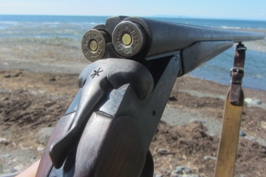 В Минприроды опровергли слухи о разрешении охоты на краснокнижных животных Игорь Чёрный, ИА MagadanMedia