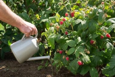 Тематическое фото сгенерировано с помощью ИИ