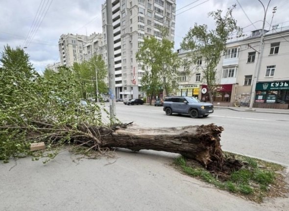 Новость дня