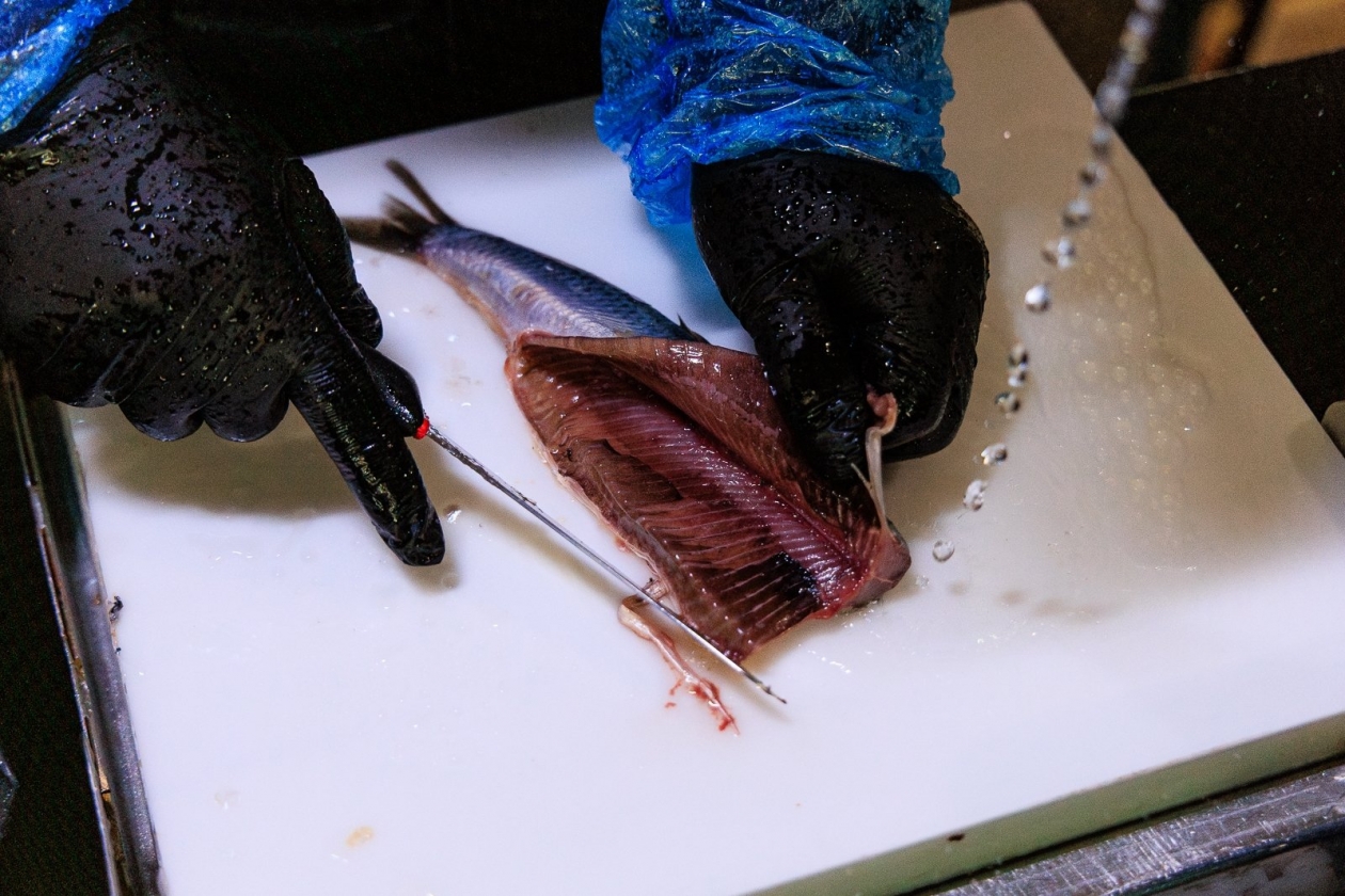 рыба, селедка, сельдь, разделка рыбы, филе Евгений  Кулешов, ИА PrimaMedia