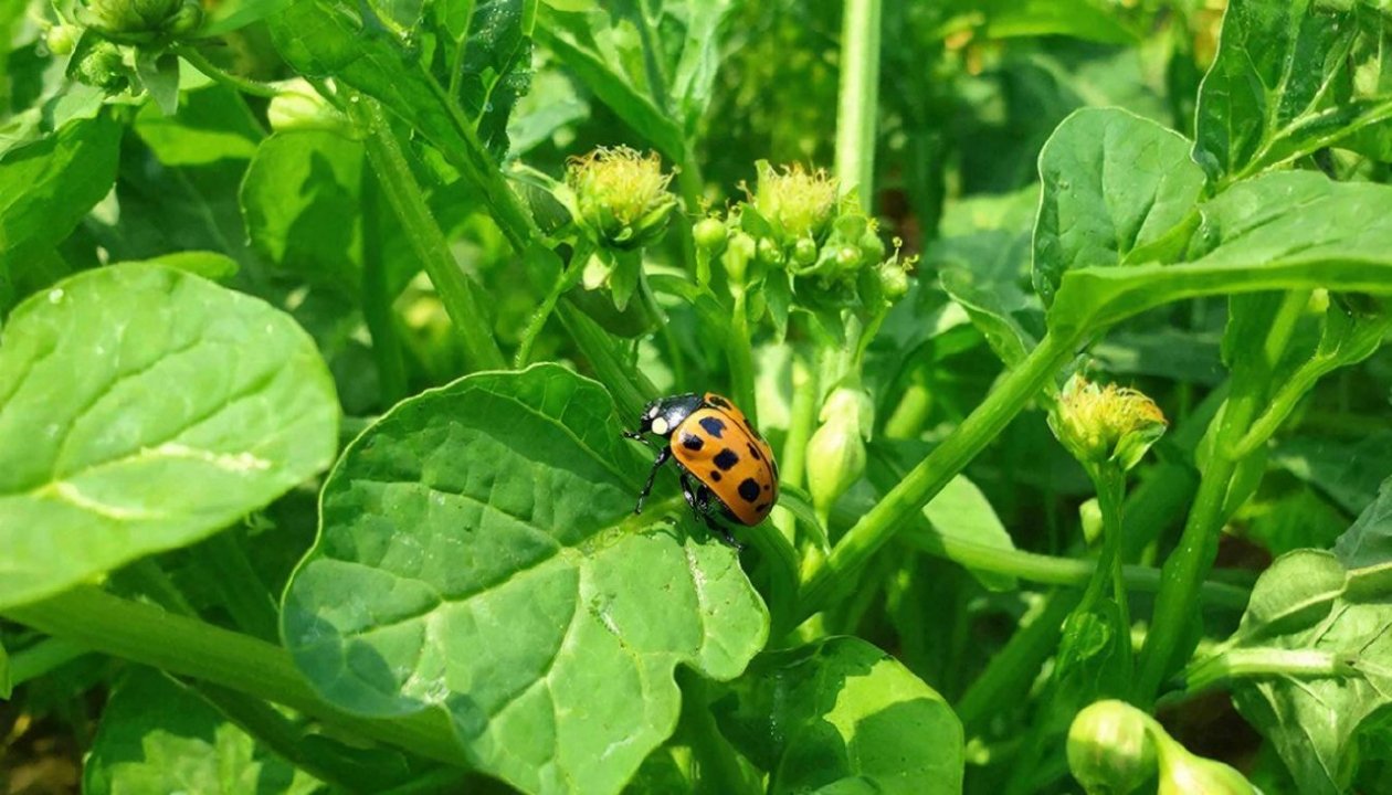 Изображение GigaChat (18+)