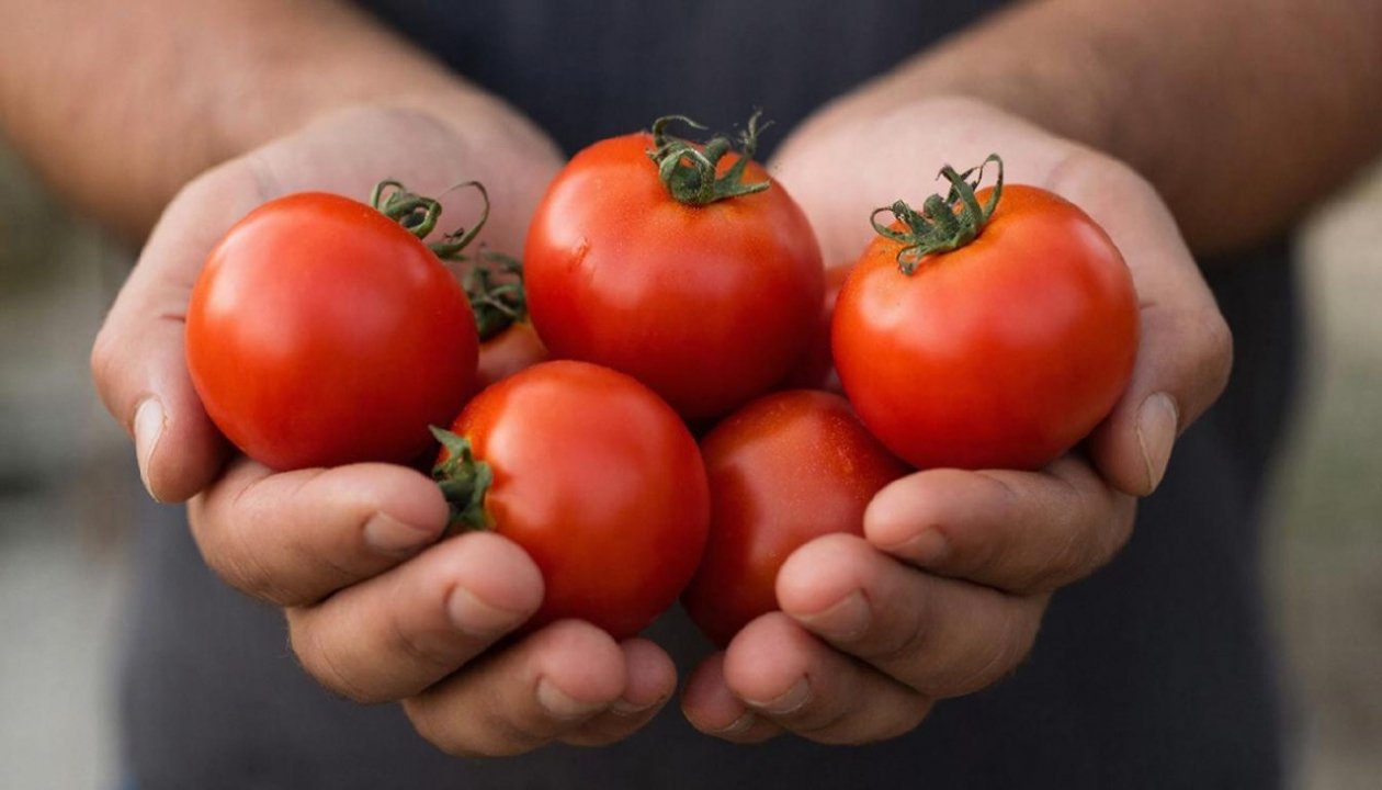 Изображение GigaChat (18+)