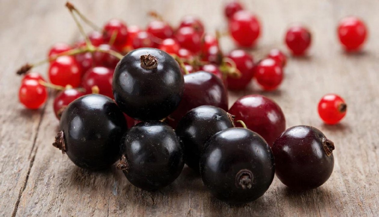 Изображение GigaChat (18+)