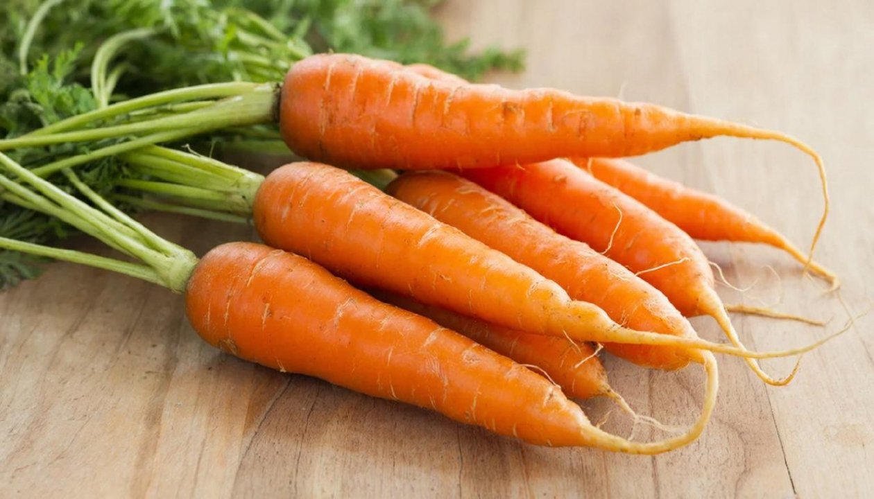 Изображение GigaChat (18+)