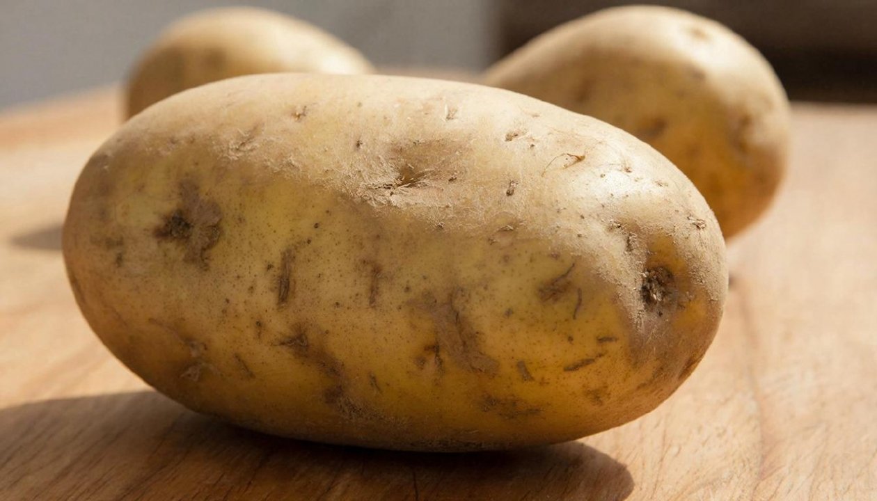 Изображение GigaChat (18+)