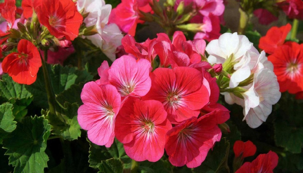 Тематическое фото GigaChat (18+)