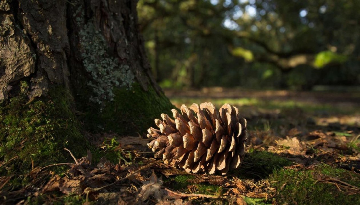 Изображение GigaChat (18+)