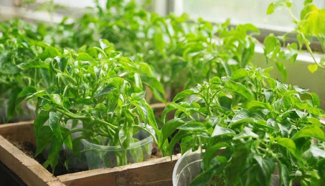 Изображение GigaChat (18+)