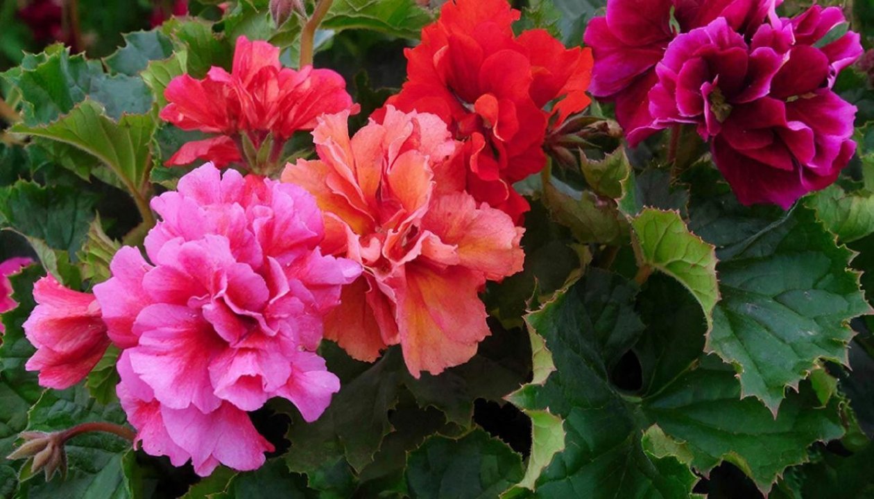 Изображение GigaChat (18+)