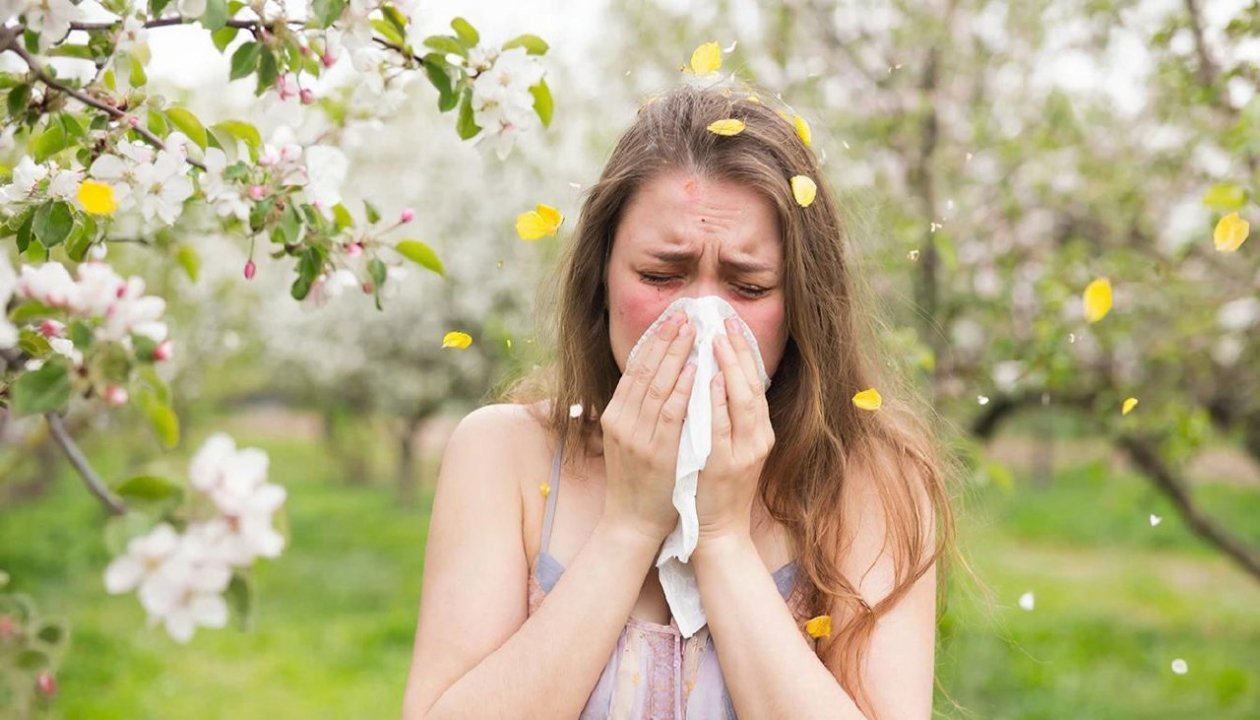 Изображение GigaChat (18+)